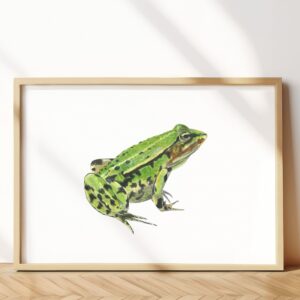 Iberian water frog