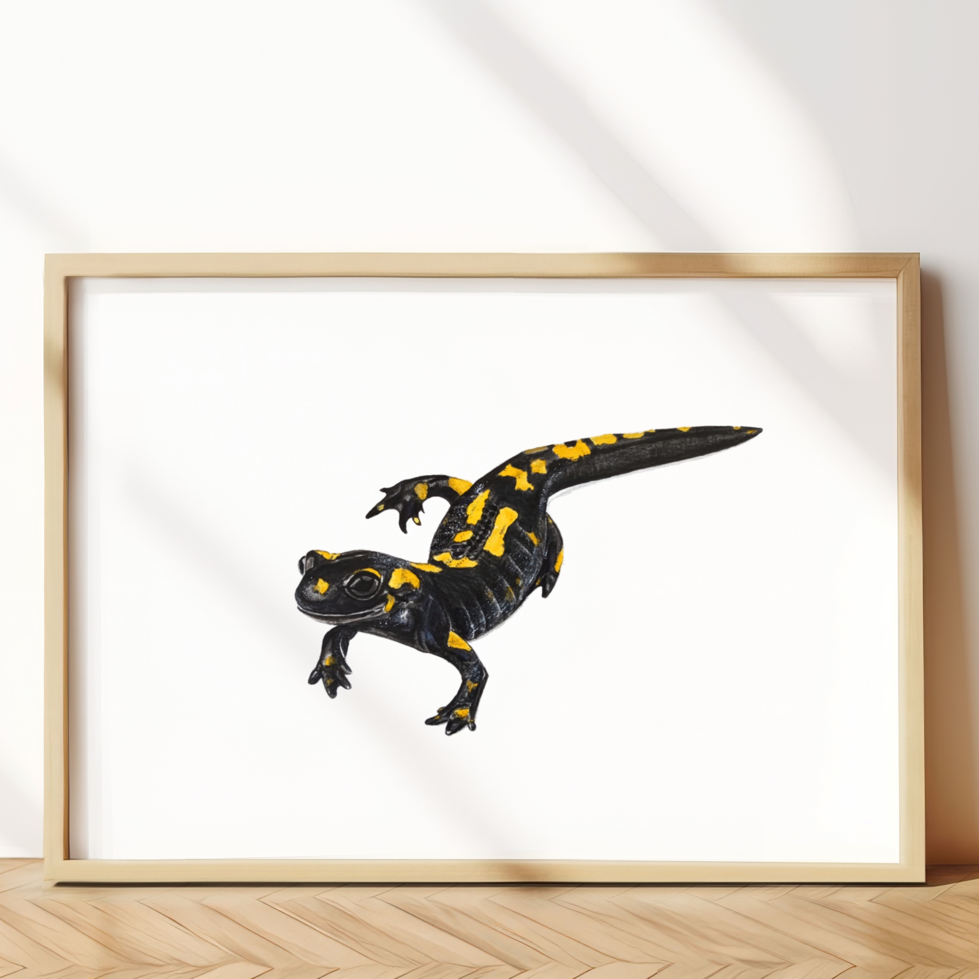 Fire salamander