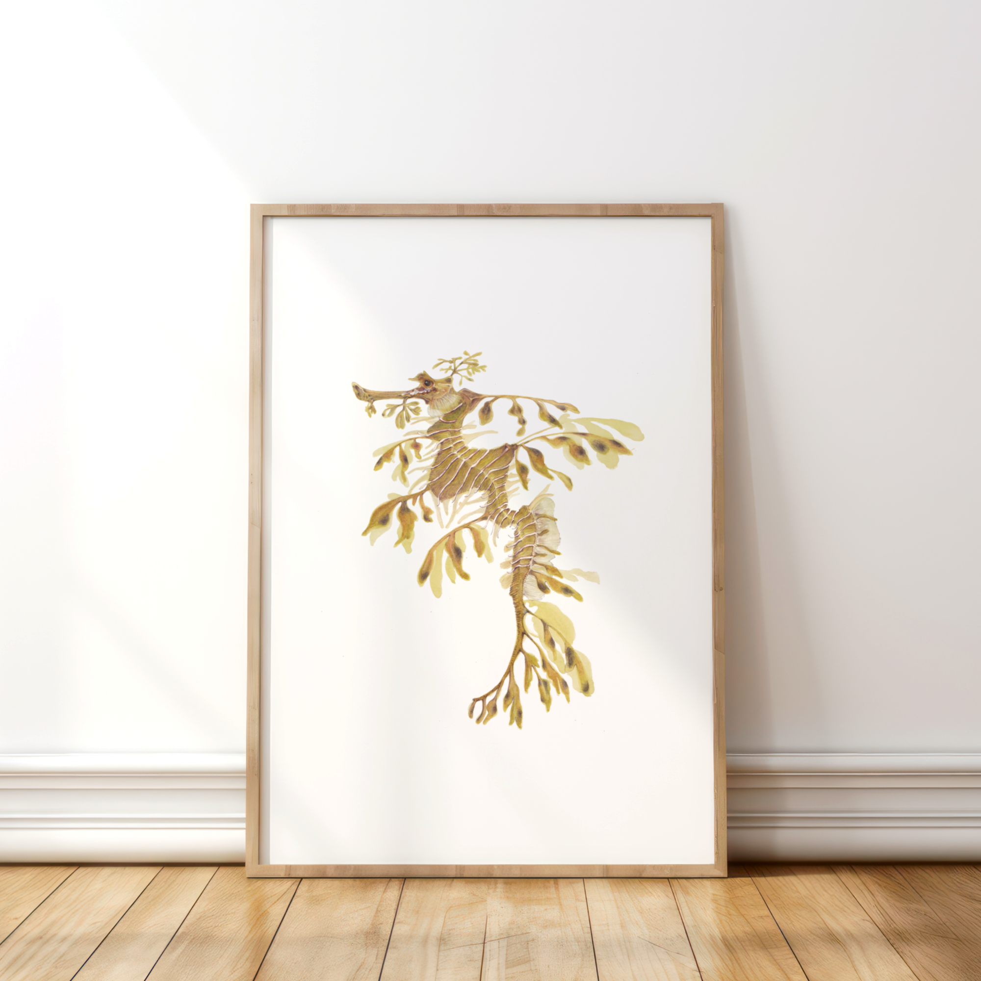 Leafy Sea Dragon