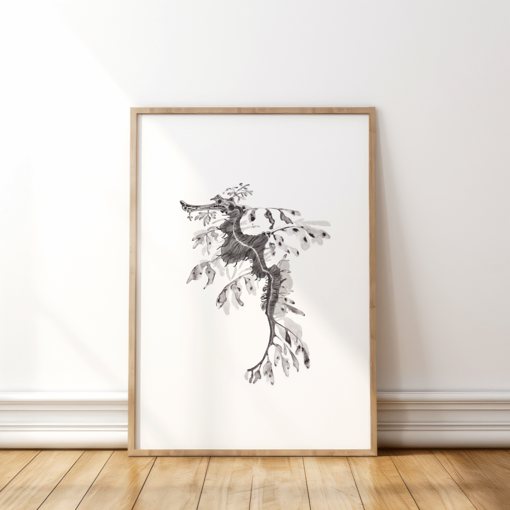 Leafy Sea Dragon in Black & White