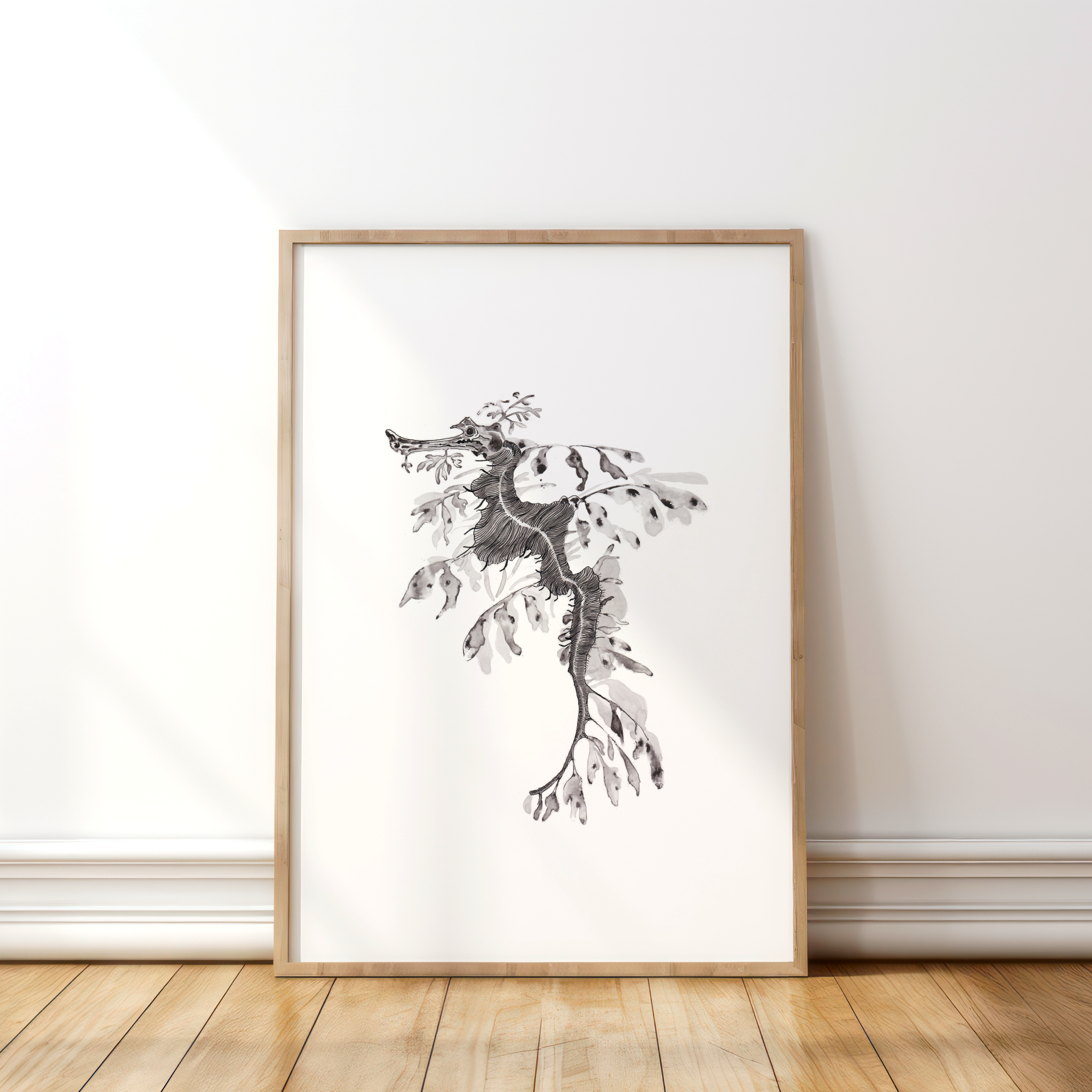 Leafy Sea Dragon in Black & White