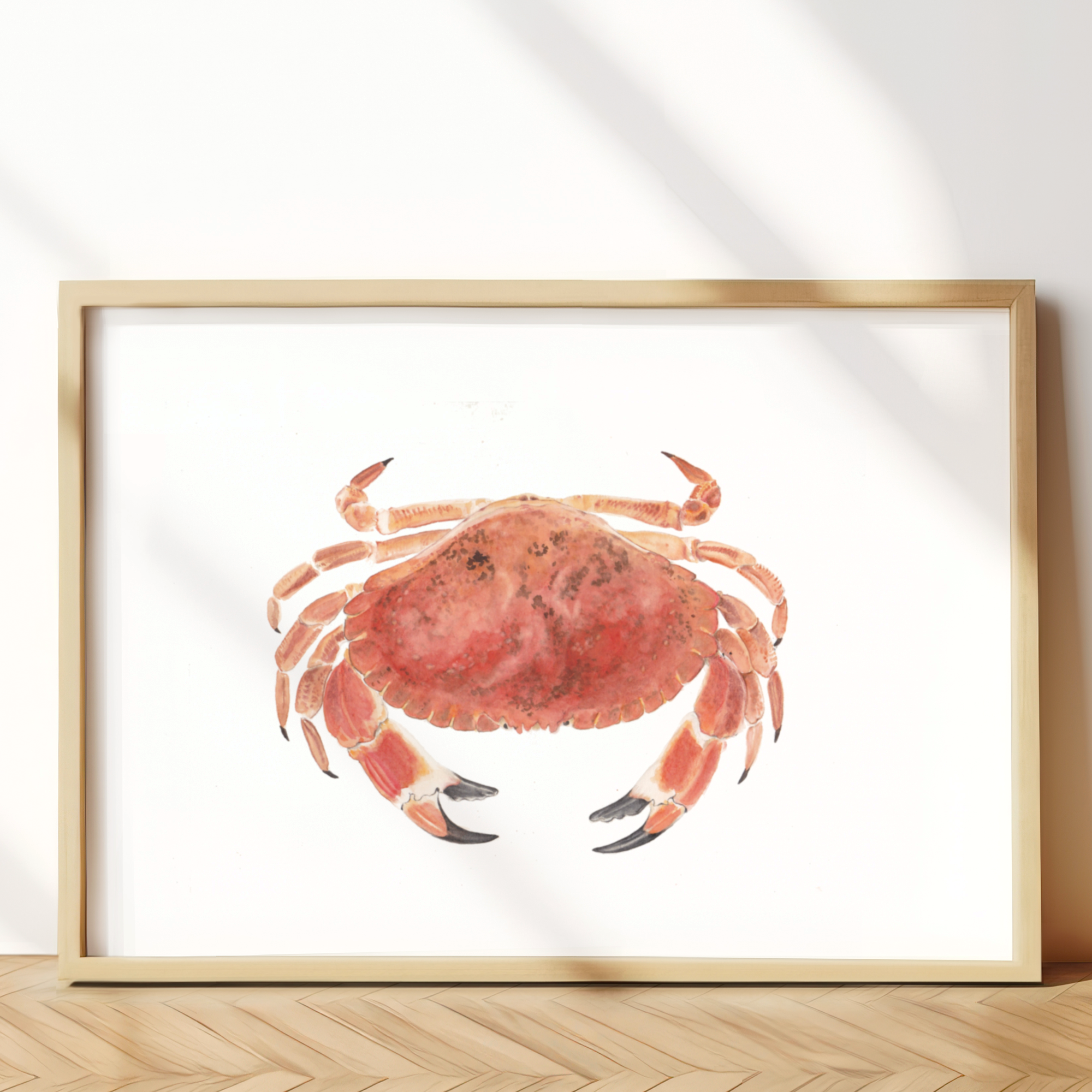 North Atlantic Brown Crab