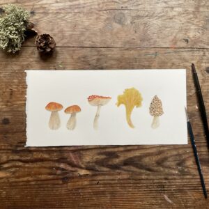 Wild Mushrooms (SOLD)