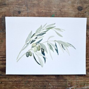 Olive tree (SOLD)