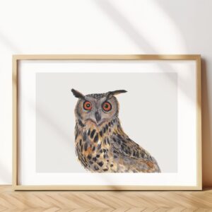 Eurasian Eagle-owl