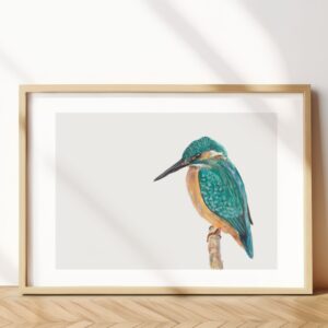 Common Kingfisher