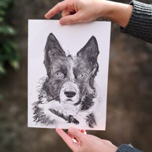 Pet Portraits