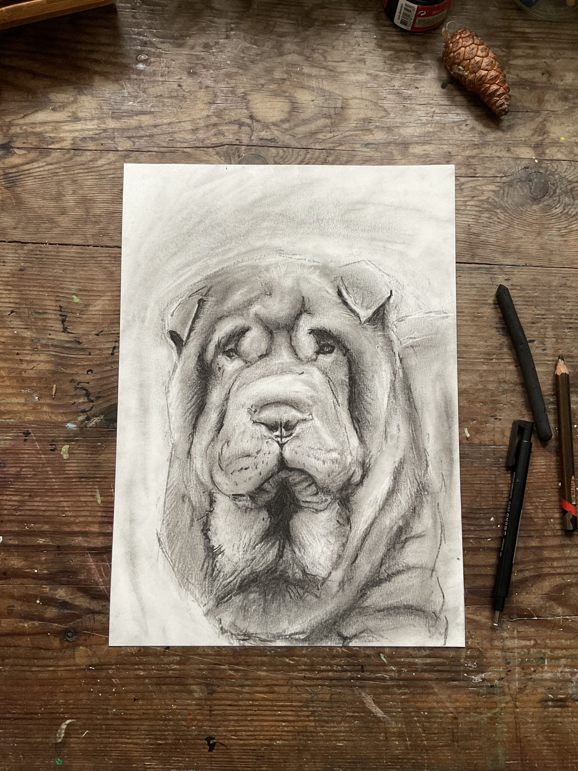 Pet Portraits - Image 7