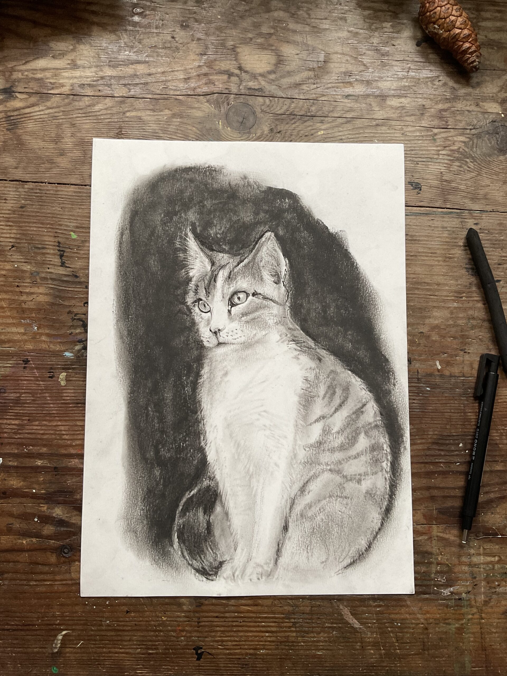 Pet Portraits - Image 8